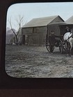 Magic Lantern Slide Horse And Buggy Late 1800 s