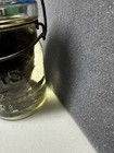 Wet Specimen Kitten-stillborn-umbilical Cord Attached-creepy-oddity-rare