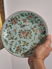 Antique Chinese Famille Rose Celadon Porcelain Plate 19thc marked