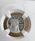 2006-w Platinum Proof American Eagle  10 Ngc Pf70 Ultra Cameo Brown Label