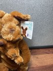 Kohls Cares Mommy Kangaroo Pouch Baby Joey Roo Plush Stuffed Animal Doll Nwt
