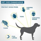 Flea tick Collar For Large Dogs 18lbs 8months Protection New Sealed