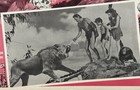 Tarzan s Secret Treasure Johnny Weissmuller Johnny Sheffield Mexican Lobby Card