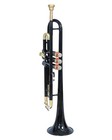 Bb Standard Trumpet Black Brass Finish  Valves With Case And Mouthpiece Nice One