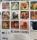 Chow  Chows  Dog  Calendar  2027 New 