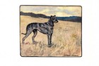 1906 Antique Scottish Deerhound Print Vernon Stokes Dog Art Illustration 6786c