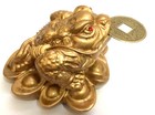Gold Feng Shui Money Frog  money Toad Attract Wealth Us Seller