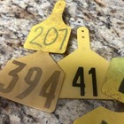 Set Of 6 Yellow Vintage Cow Tags Rustic Farmhouse Decor Livestock Number Tags