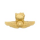 Eva Air Flight Attendants Badge Gold Kitty Pin Insignia Wings Pilot Flying Medal