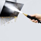 Steam Cleaner Carpet Upholstery Leather Window Steamer Dirt Pressure Machine Usa