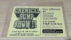 Rare The Pillows Chemical Bump Show Flyer