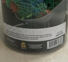 Fun Bucket 27 Pieces Dinosaurs Action Figures Toy Planet  pre Owned