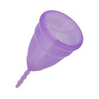 Acorn Baby Adult Menstrual Cup Small Silicone Purple 1pk - Leak Free Period Cups