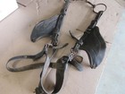 Antique Horse Bridle And Snaffle Bit Wwi    Rustic Equestrian Decor