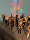 Wwe Wrestling 30 Action Figures Lot
