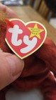 Ty Schweethardt Family  5  Beanie Baby  Buddy  Large  Extra Large  And Jumbo