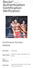 Signed Hulk Hogan scott Hall nash New World Order All 3 Photo 16x20 Nwo Auto Bas