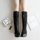 Women s Fashion Lace Pointed Toe Mesh Knee High Long Boots High Wedge Heel Shoes