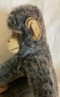 Rare Vintage Steiff Toccolino Monkey  ear Tag Missing  9    Tall
