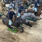 Vintage Britains American Civil War Cavalry Soldiers Custom Union Large Set Acw