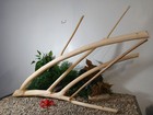 Driftwood Aquarium Fish   Reptiles Xl 15x34  Natural Aquarium Branch Decor