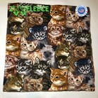 Zoofleece Cat 50x60  Blanket Gray Throw Kitty Kittens Feline Winter Cats Gift