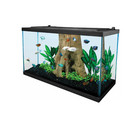 Tetra 29 Gallon Glass Led Aquarium Kit - No Import Fees   