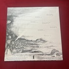 Traffic When The Eagle Flies New Sealed Vinyl Lp Record Hype Sticker   Download