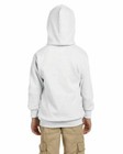 Hanes Youth Ecosmart   50 50 Pullover Hood Sweatshirt Hoodie Xs-xl P473