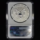 2019-s  1 Enhanced Reverse Proof Silver Eagle     Ngc Pf-69     Coin Rev Pr S B