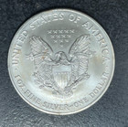2004 American Silver Eagle Dollar 1 Troy Oz  999 Fine Silver   Gem Bu