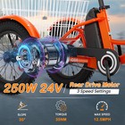 Naizea Electric Tricycle With 24v 10 4ah Battery 250w Motor 3 Wheels 16 In Bikes