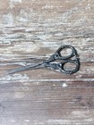 Antique Webster Sterling Silver Grape Shears Scissors In Box Art Nouveau Vtg