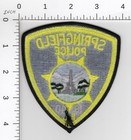 Springfield Illinois     Collectible Capital Police Embroidered Patch