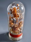 Apothecary Glass Inverted Bottle Display Jar Show Globe With Installed Decoratio