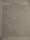 1889 Eiffel Tower Paris Exposition Lynx Tilly Foster Iron Mine N y  Scientific