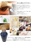 Ion Bottle  Radium Bottle  Water Bottle  Shigaraki Ware Original Bottle  blue G_
