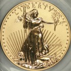 2006-w  50 One Ounce Reverse Proof Gold Eagle Pcgs Pr69 First Strike