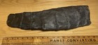 Very Large Carboniferous Fossil Calamite Plant Tip Intact Rare- 7lbs  - 17   