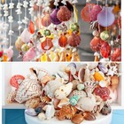 Sea Shells Mixed Ocean Seashells  1 2 -3 5  Various Sizes Beach Seashells And Na