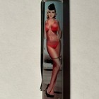Airplane Stewardess Stripper Floaty Pen Tip And Strip Sexy Pinup Woman Girl