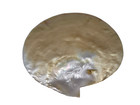 Mother Of Pearl Gold Lip Shell Dish Silver Inlay Monogram 7 Inch Antique Caviar