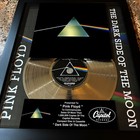 Pink Floyd   Dark Side Of The Moon   Platinum Music Award Vinyl Lp Record Cd