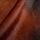 8x7 Feet   Real Mahogani Cowhide Rug Natural Hair Reddish Brown Cow Hide Skin