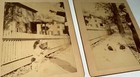 Rare Antique Trick Pet Dog Animal Victorian American Cabinet Card Photo Lot Us