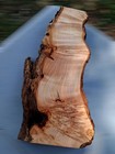 Xl Mind Blowing Birdseye Maple Burl Wood Blank  Live Edge  Turning epoxy Wood 