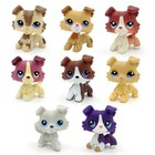 2pcs lot Lps Action Figure Toy Random Littlest Pet Shop Collie Dog