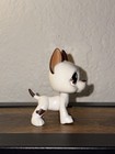 Littlest Pet Shop Lps  577 Authentic White Brown Great Dane Figure Two Color Eye
