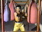 Dvd - Fighting Power  Vol  2 - Southern Praying Mantis Kung Fu Sifu Malcom Sue