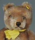 Vintage Steiff Original Jointed Teddy 14  - C1950 s Germany With Tag   Button